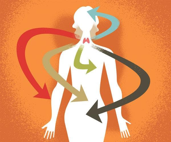 Thyroid Health