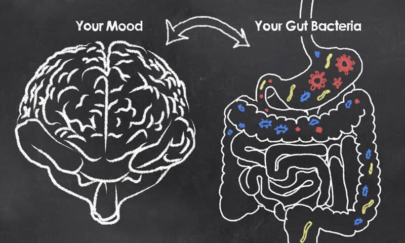 Digestive symptoms often attributed to candida overgrowth