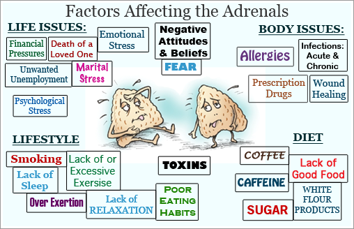 Adrenal Fatigue Risk Factors