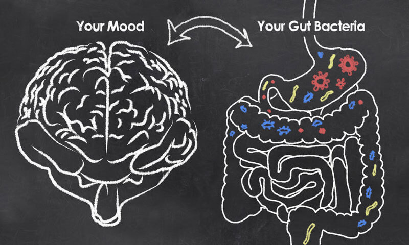 Gut Brain Connection