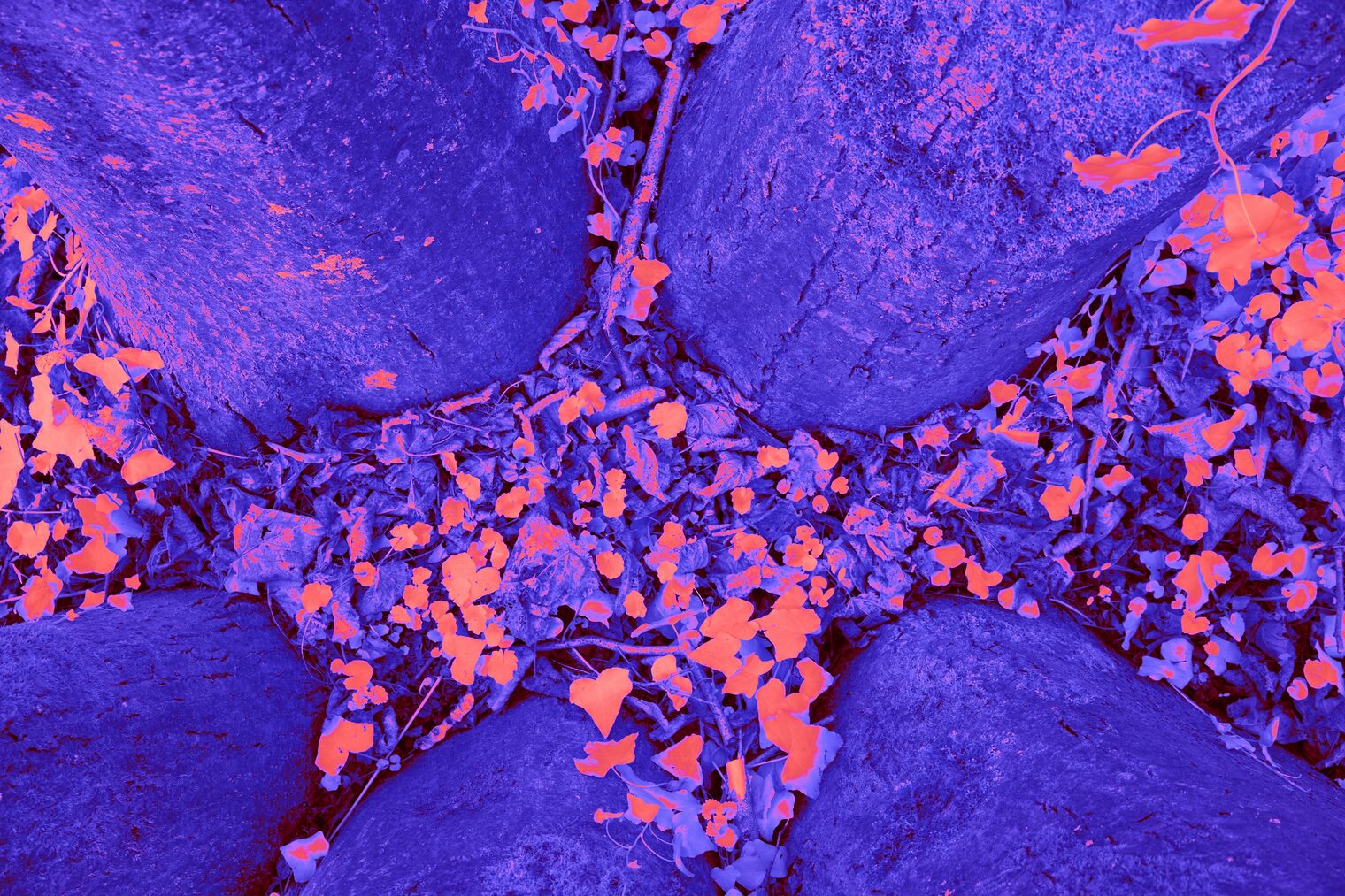 Advanced thermal imaging technology