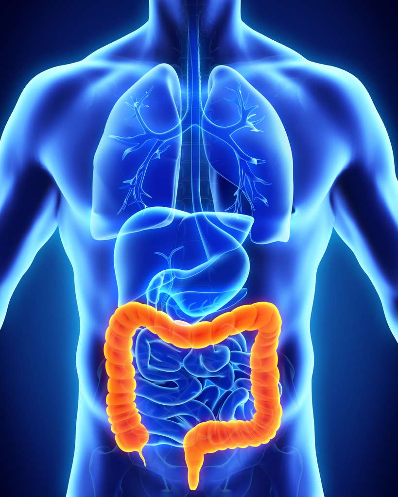Colonic Hydrotherapy