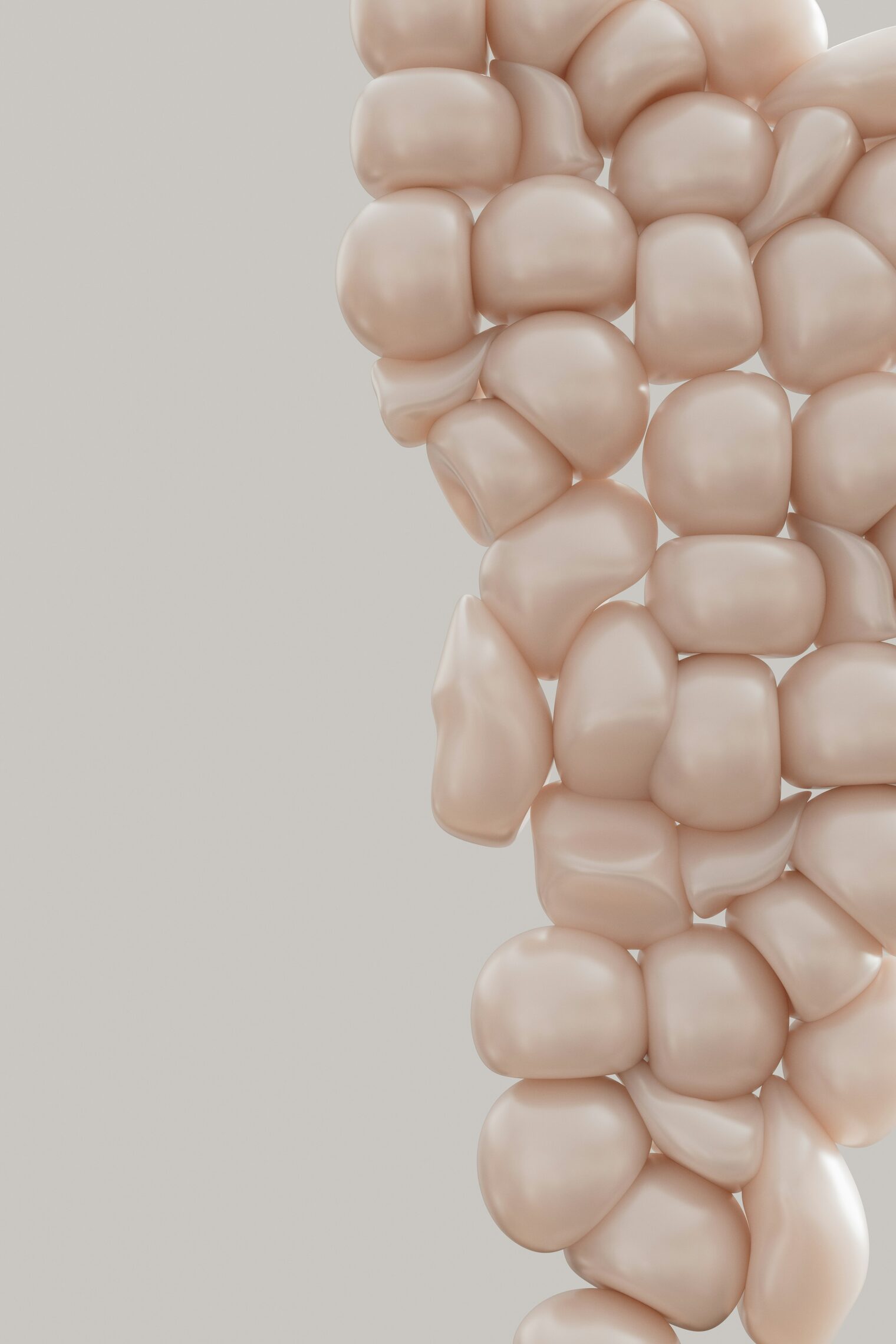 Diagram of Colon Hydrotherapy Process