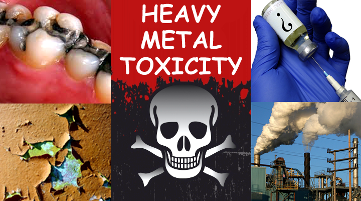 Laboratory testing for heavy metals such as lead, mercury, arsenic and cadmium