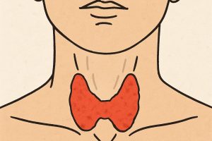 Thyroid Health: Key Insights