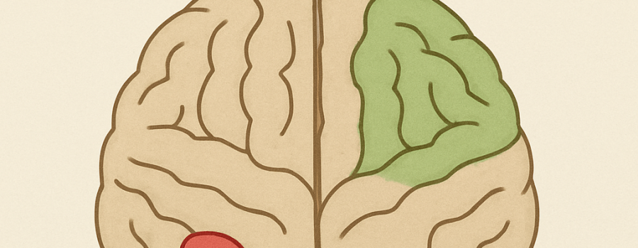 Brain’s Role in Mental Health